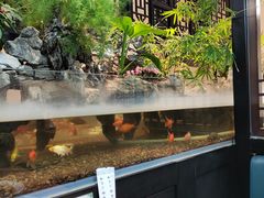 -舟小鲜·舟山小渔村(凤城四路中登广场店)