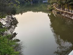 -深圳仙湖植物园