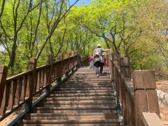 -狼牙山风景区