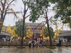 -西园戒幢律寺