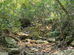 -梧桐山风景名胜区