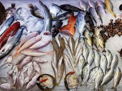 -长平老姿娘夜粥(平东一街店)