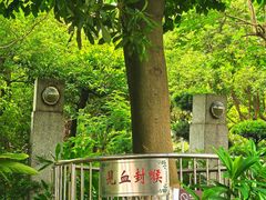 -广州神农草堂中医药博物馆