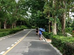 -大屏嶂森林公园