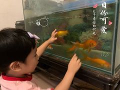 -姥家大锅台水库渔家