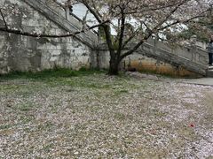 -苏州上方山国家森林公园