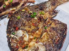 -龚海宝· 烧烤· 羊肉原切挂糊更好吃(庄市店)
