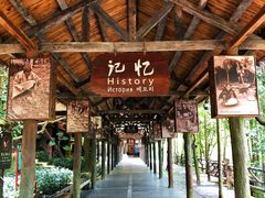 -海南槟榔谷黎苗文化旅游区