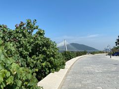 -芒洲湿地公园