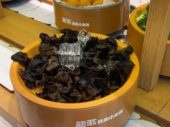 -龍歌自助小火锅(崂山丽达店)