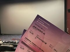 -深影国际影城(学院南路店CGS中国巨幕店)