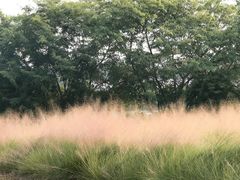 -强记荔枝柴烧鸡(同辉路店)
