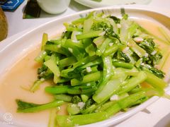 蒜蓉菜心-纳家楼·地道陕菜(劳动路店)