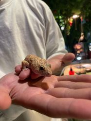 -酷嗒动物文化乐园(cutezoo西溪乐天城店)