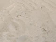 -东方之珠洗浴休闲广场(和平店)