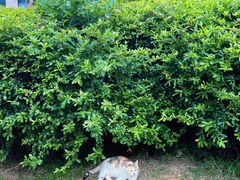 -同里国家湿地公园