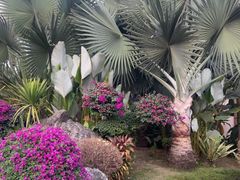 -西双版纳傣族园-曼春满佛寺