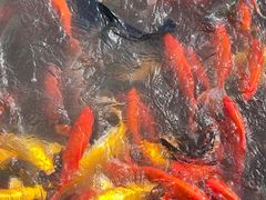 -狼山风景名胜区