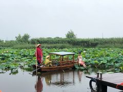 -荷塘月色湿地公园·向阳花洲