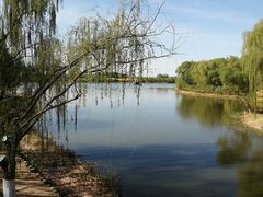 -大兴滨河森林公园