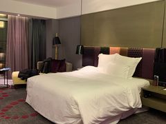 -南京禄口机场雅高铂尔曼大酒店