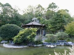 -上海吴淞炮台湾国家湿地公园