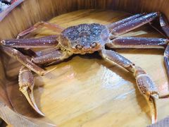-綱元·海鲜豆捞(明州里店)