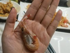 -渔乐之昕·铁板烧自助餐(虹悦城店)