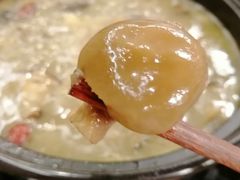 -马帮菜馆·美味野生菌