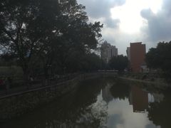 -晓港公园