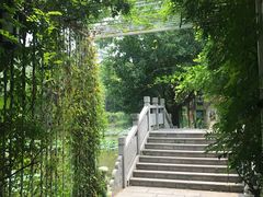 -老木棉·匠园