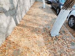 -八大关景区