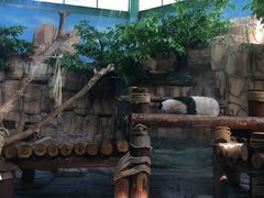 -泉州海丝野生动物世界