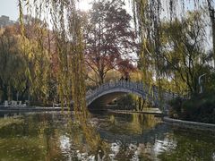 -西安市长乐公园