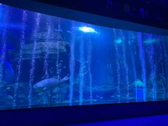 -多彩贵州城极地海洋世界