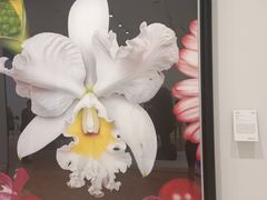 -德基艺术博物馆