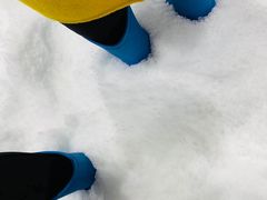 -Mr·Kuma酷么先生雪之乐园