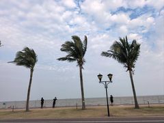 -野狸岛