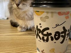 -楼上猫咖(罗湖店)