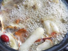 -蘑统田下·野生菌火锅