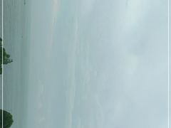 -广东惠东海龟国家级自然保护区