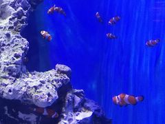 -华夏文旅海洋公园