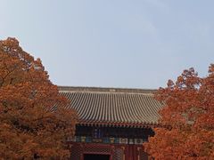 -香山公园