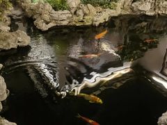 -鲤院·新中式美学·庭院餐厅(夫子庙店)