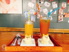 -柴犬高等学院·狗咖·柴犬售卖·宠物训练