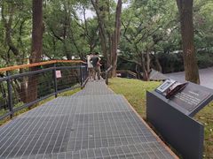 -马王堆汉墓遗址