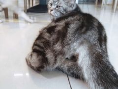 -平行世界·猫咖(首经贸店)