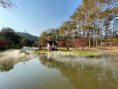 -田野绿世界