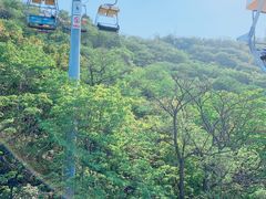 -富斯特索道