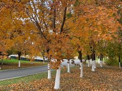 -长春世界雕塑园冰雪艺术天地